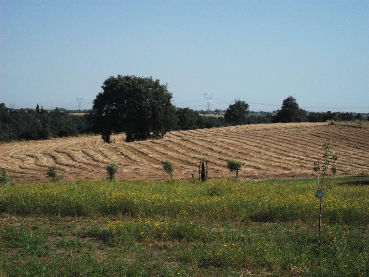 Poderi Di Tragliatella Kültér fotó