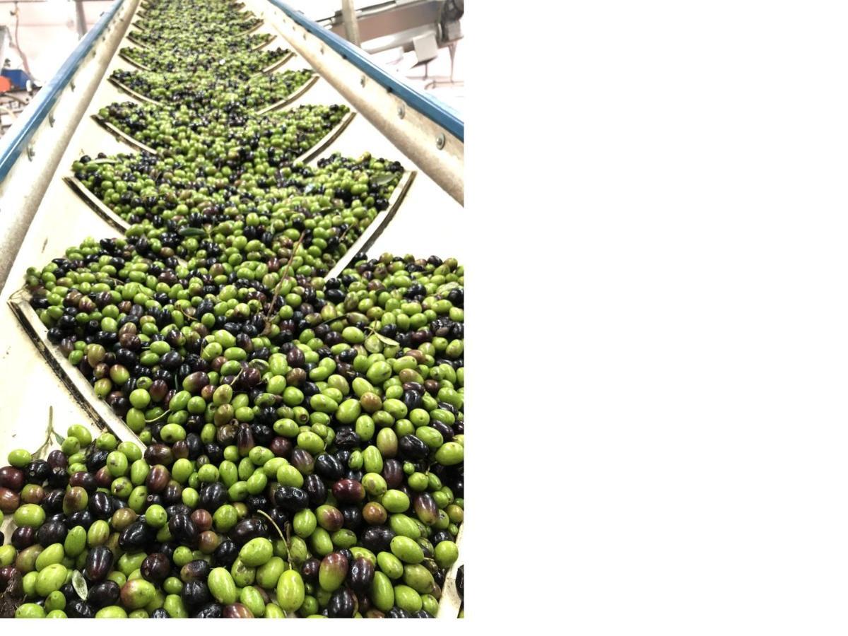 Poderi Di Tragliatella Kültér fotó